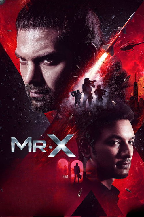 Mr. X 2