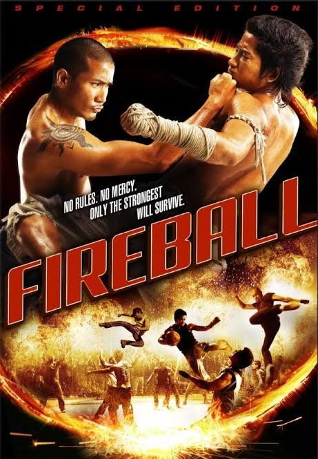 Fireball 2009